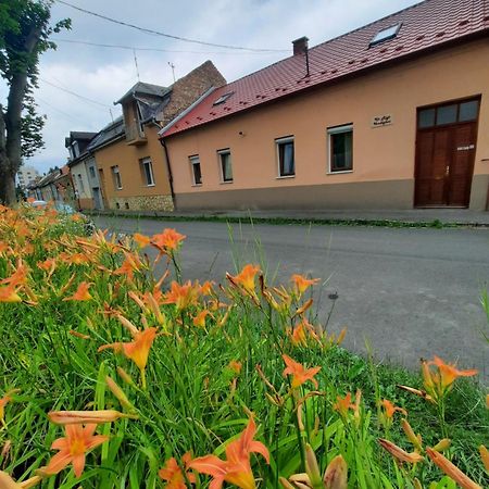 Kis Rigó vendégház Salgótarján Exterior foto