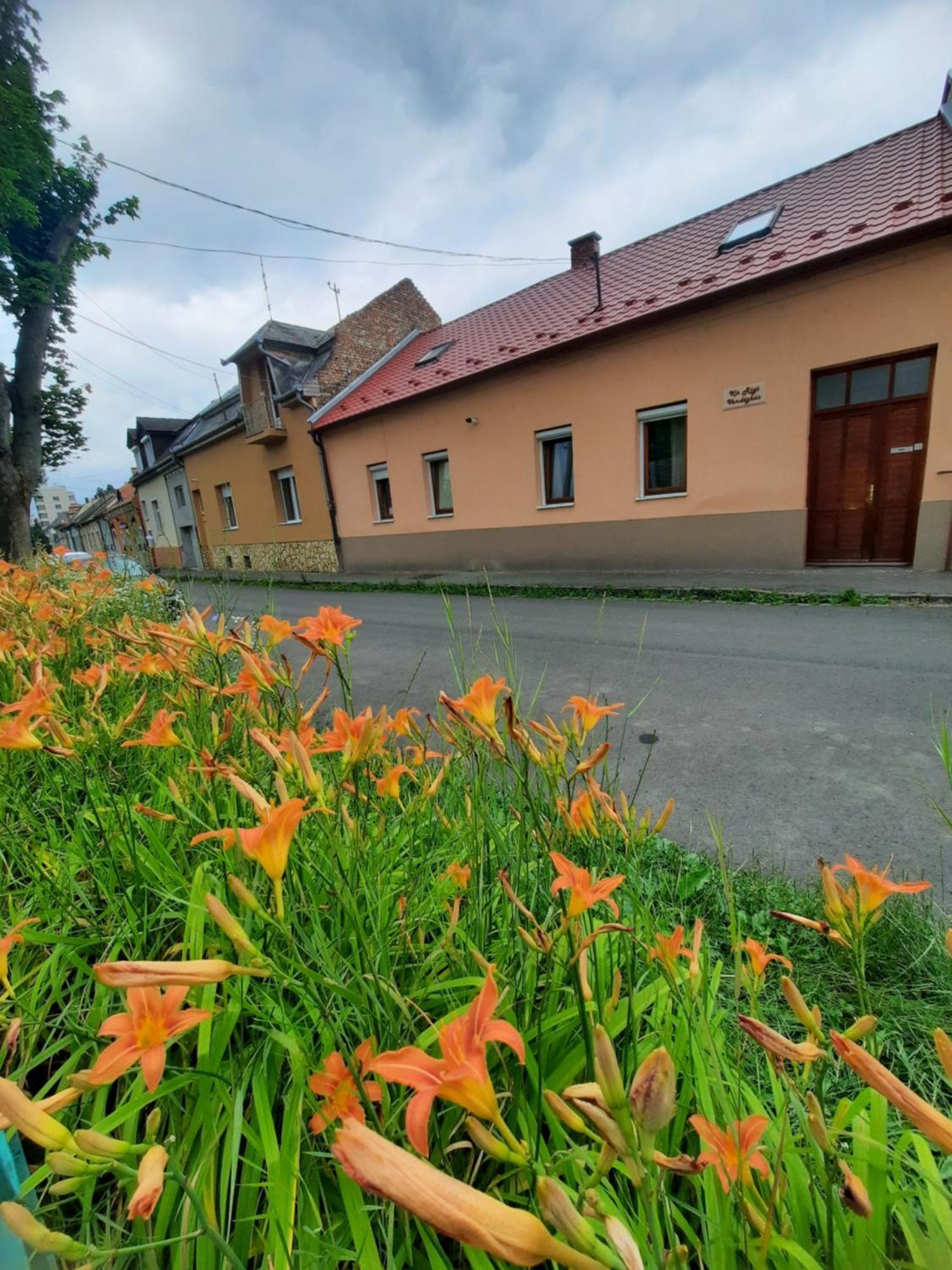 Kis Rigó vendégház Salgótarján Exterior foto